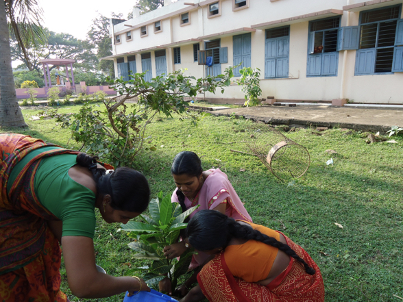 Climate Change Plantation Drive